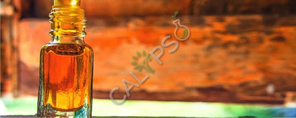 Olio naturale di canfora